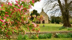 Church cemetery