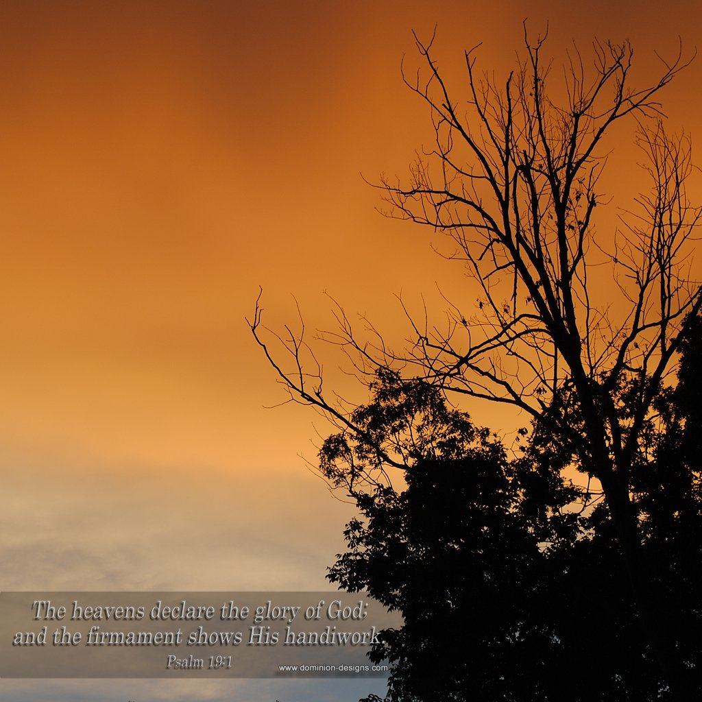 Free Desktop Wallpaper Calendars: November 2011 | Tim Challies