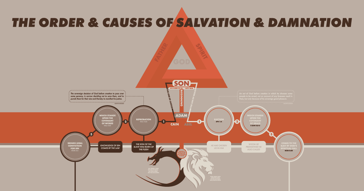 The Order and Causes of Salvation and Damnation An Infographic Tim